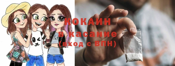 ГАЛЛЮЦИНОГЕННЫЕ ГРИБЫ Гусев