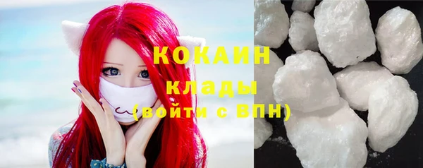 ГАЛЛЮЦИНОГЕННЫЕ ГРИБЫ Гусев