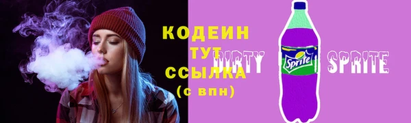 ГАЛЛЮЦИНОГЕННЫЕ ГРИБЫ Гусев