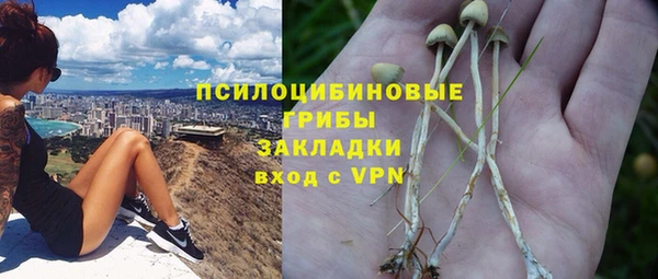 Альфа ПВП Горняк