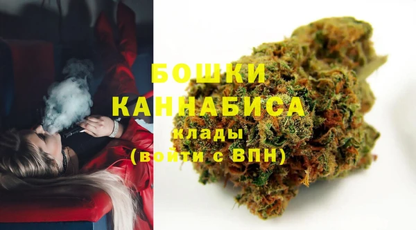 ГАЛЛЮЦИНОГЕННЫЕ ГРИБЫ Гусев