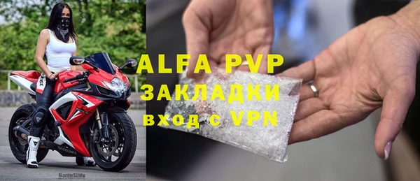 ГАЛЛЮЦИНОГЕННЫЕ ГРИБЫ Гусев