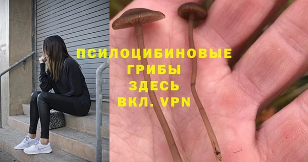 прущая мука Горнозаводск