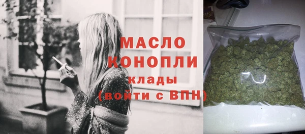 Альфа ПВП Горняк